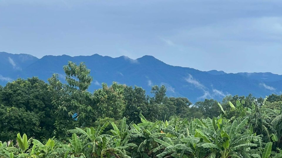 received_1026516931472670